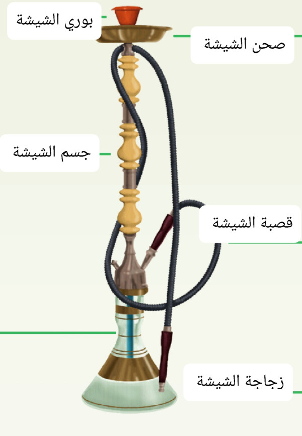 مكونات الشيشة
